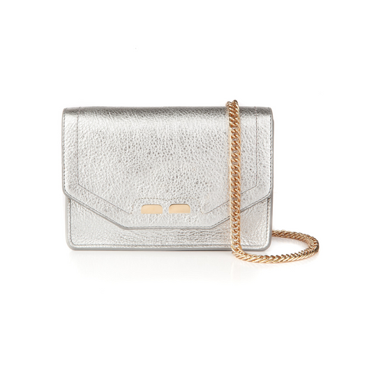Samuel in Silver