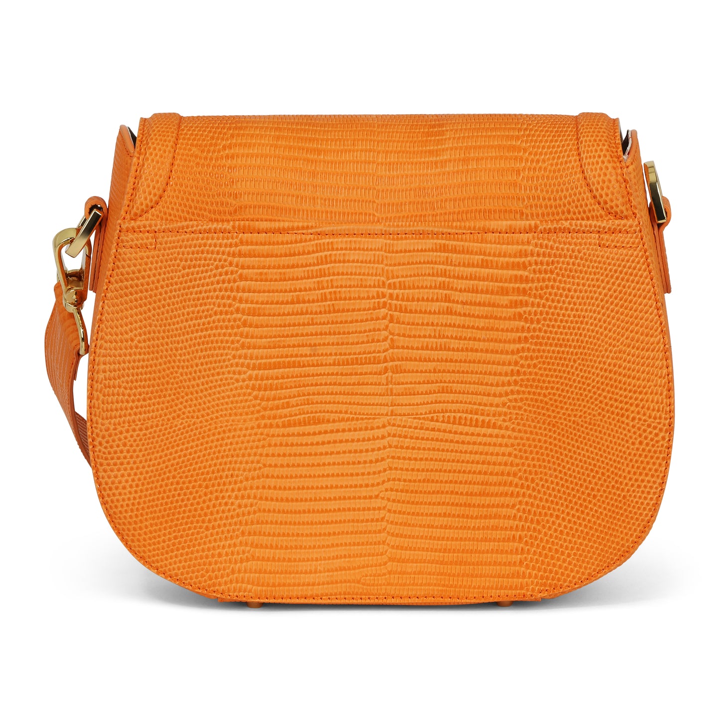 Holmes in Orange Lizard