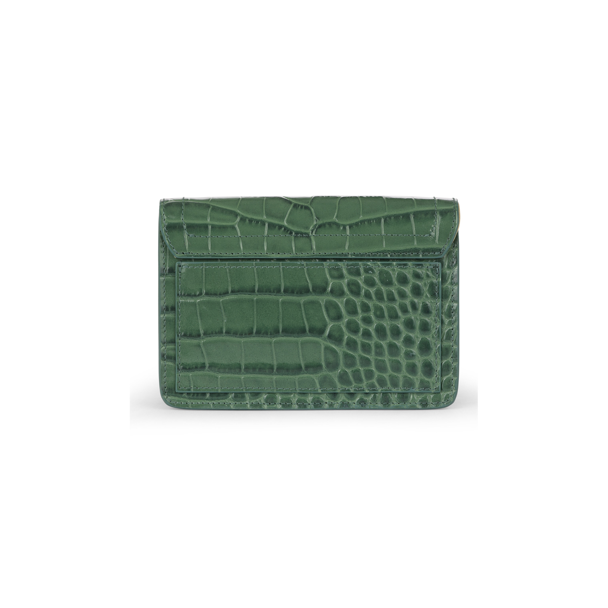 The Samuel in Salva Croc