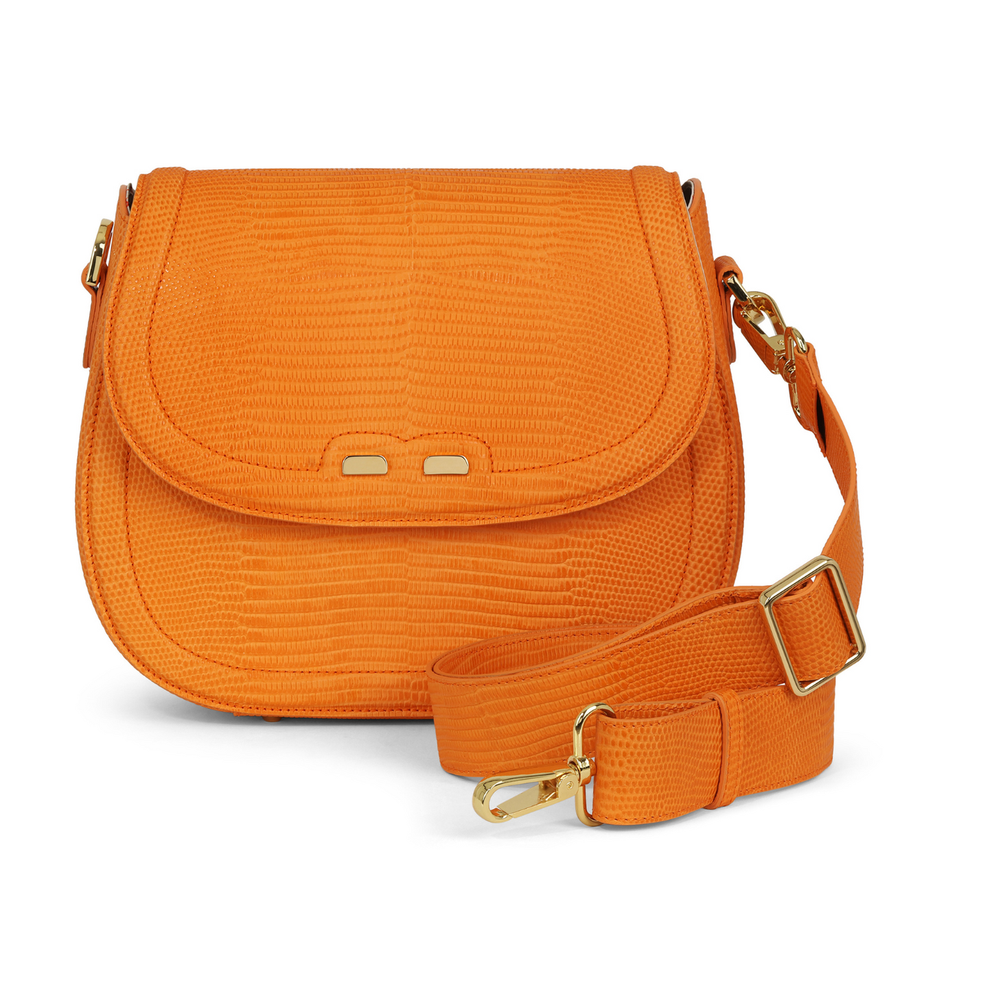 Holmes in Orange Lizard